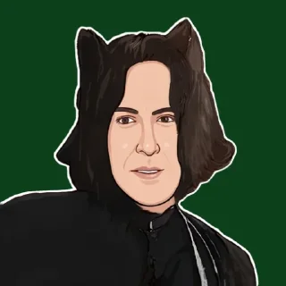 😺