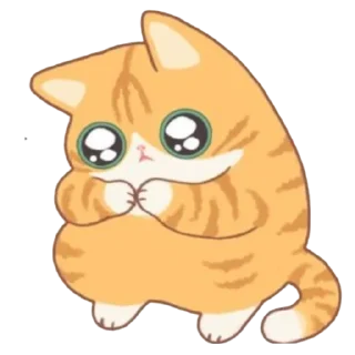 🐱