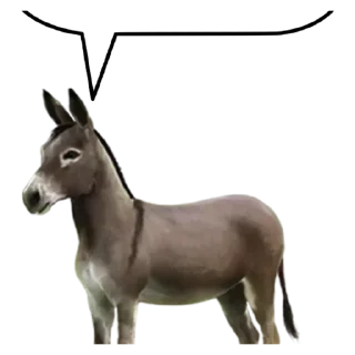🐴