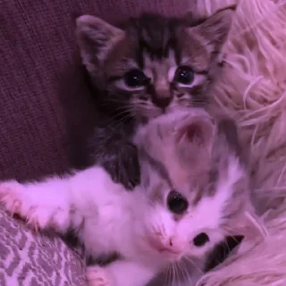 💜