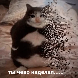 😭
