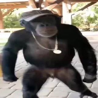 😎