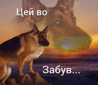 😟