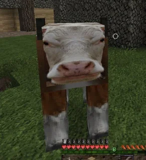 🐄