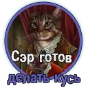 😼