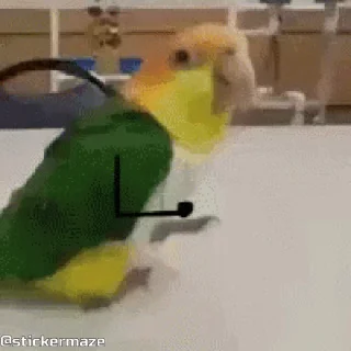 🥳