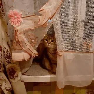 😐