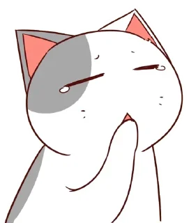 🐈