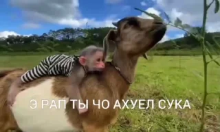 😏