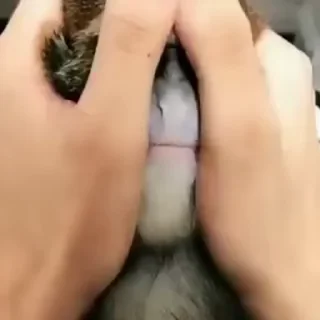 😳