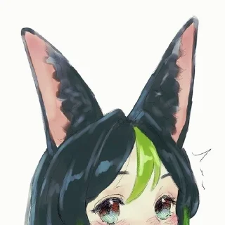 🐱