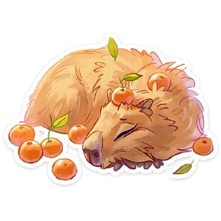 😴