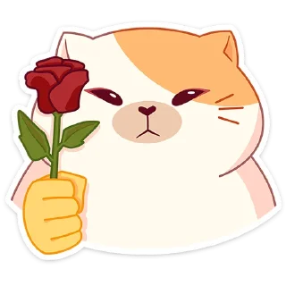 🌹