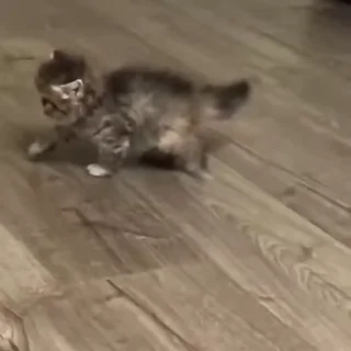 😳