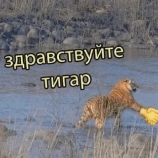🐕