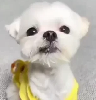 😜