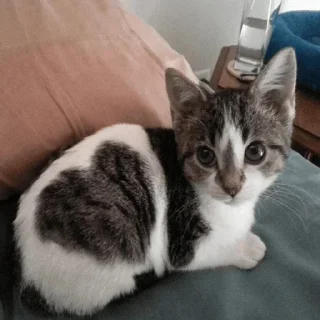 ❤️