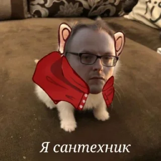🐈