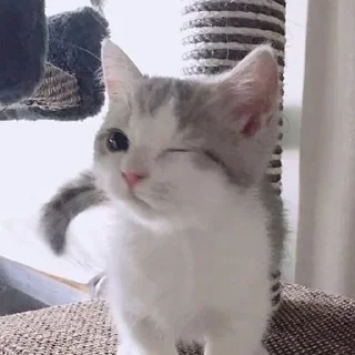😉