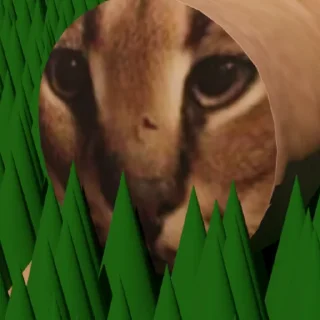 😶