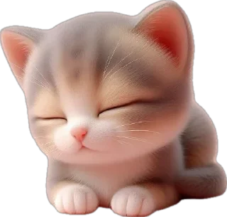 😴