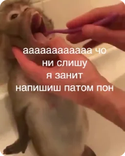 👌