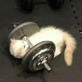 💪