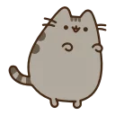 😸
