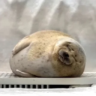 ☺️
