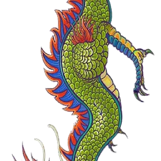🐲