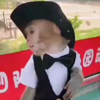 🌟