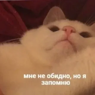😪