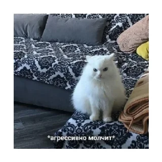 😠