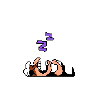 😴