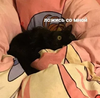 🌚