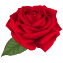 🌹
