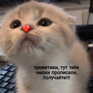 ❤️