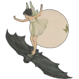 🦇