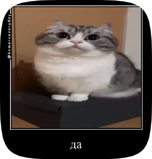 Комару :: @fStikBot