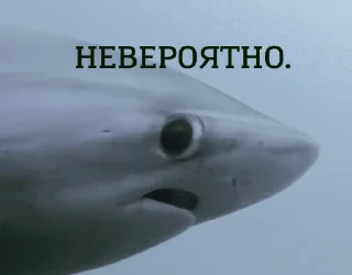 😱