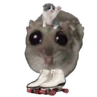 🛼