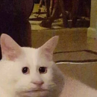 ☹️