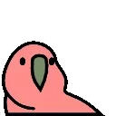 🦜