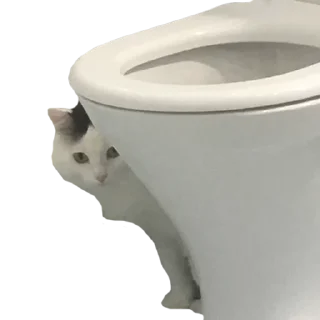 🚽