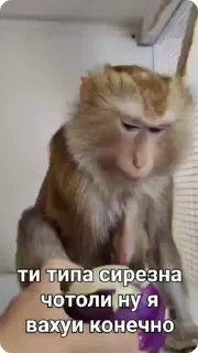 🫠