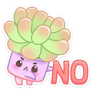 🙅‍♂️