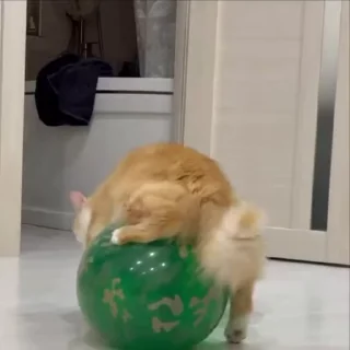 🎈