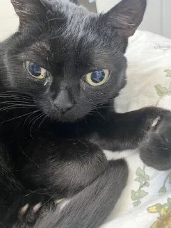 🤨
