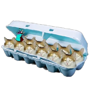 🥚