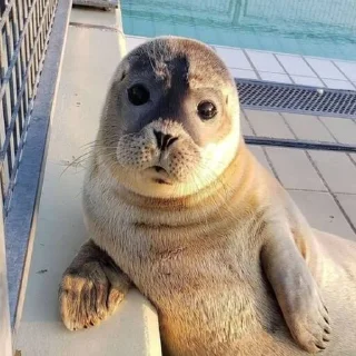 😑